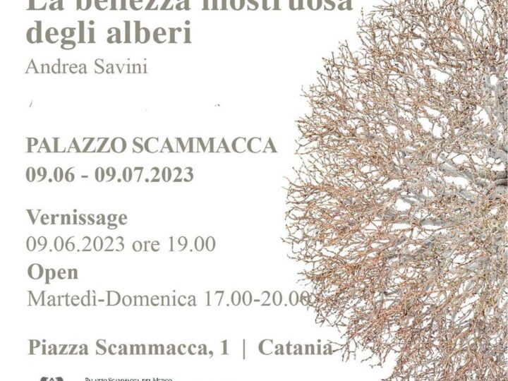 A Palazzo Scammacca arriva “La bellezza mostruosa degli alberi” Il fotografo Savini: «Con i miei bonsai stimolo la fantasia»